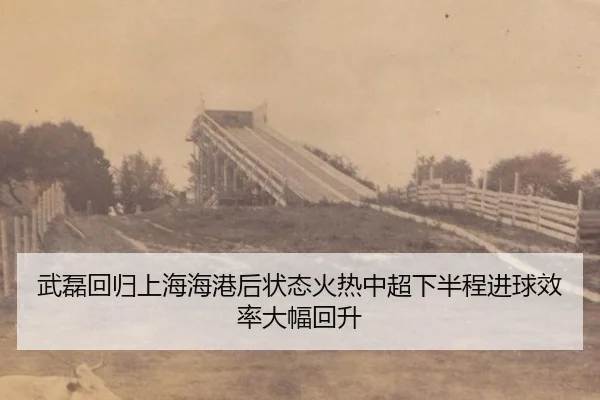wu-lei-hui-gui-shang-hai-hai-gang-hou-zhuang-tai-huo-re-zhong-chao-xia-ban-cheng-jin-qiu-xiao-lv-da-fu-hui-sheng-2-742.jpg