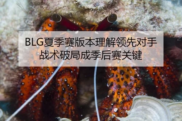 BLG夏季赛版本理解领先对手 战术破局成季后赛关键